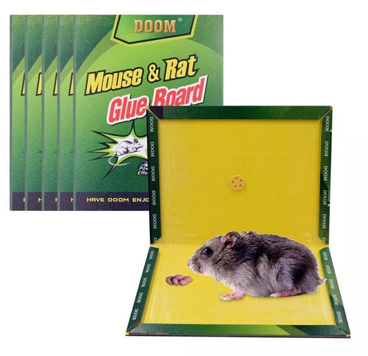 Mouse & Other Insects Trap Glue Board