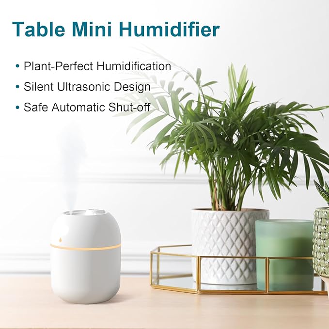 Portable Small Humidifier - USB Personal Desktop Humidifier
