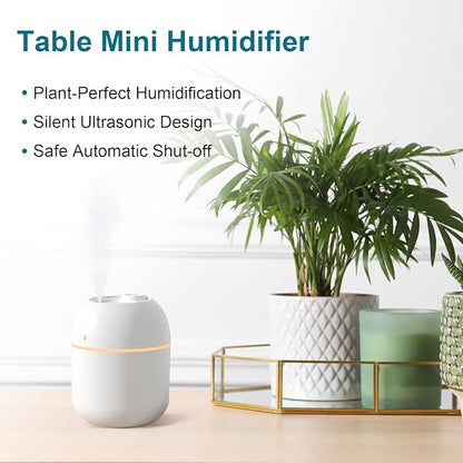 Portable Small Humidifier - USB Personal Desktop Humidifier